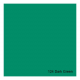 Gelatina E-Colour 124 Dark Green Folha 50x60cm Rosco 150124