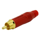 Conector RCA macho cabo Amphenol ACPRRED-Vermelho