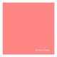 Gelatina Stargel 307 50x60 Rosy Âmber Starlux 309